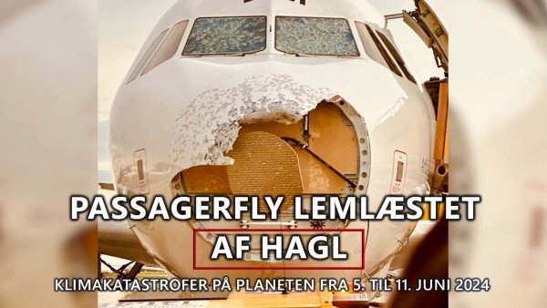 Oversigt over klimakatastrofer på planeten fra 5. juni til 11. juni 2024