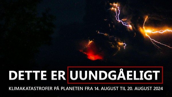 Oversigt over klimakatastrofer på planeten fra 14. august til 20. august 2024